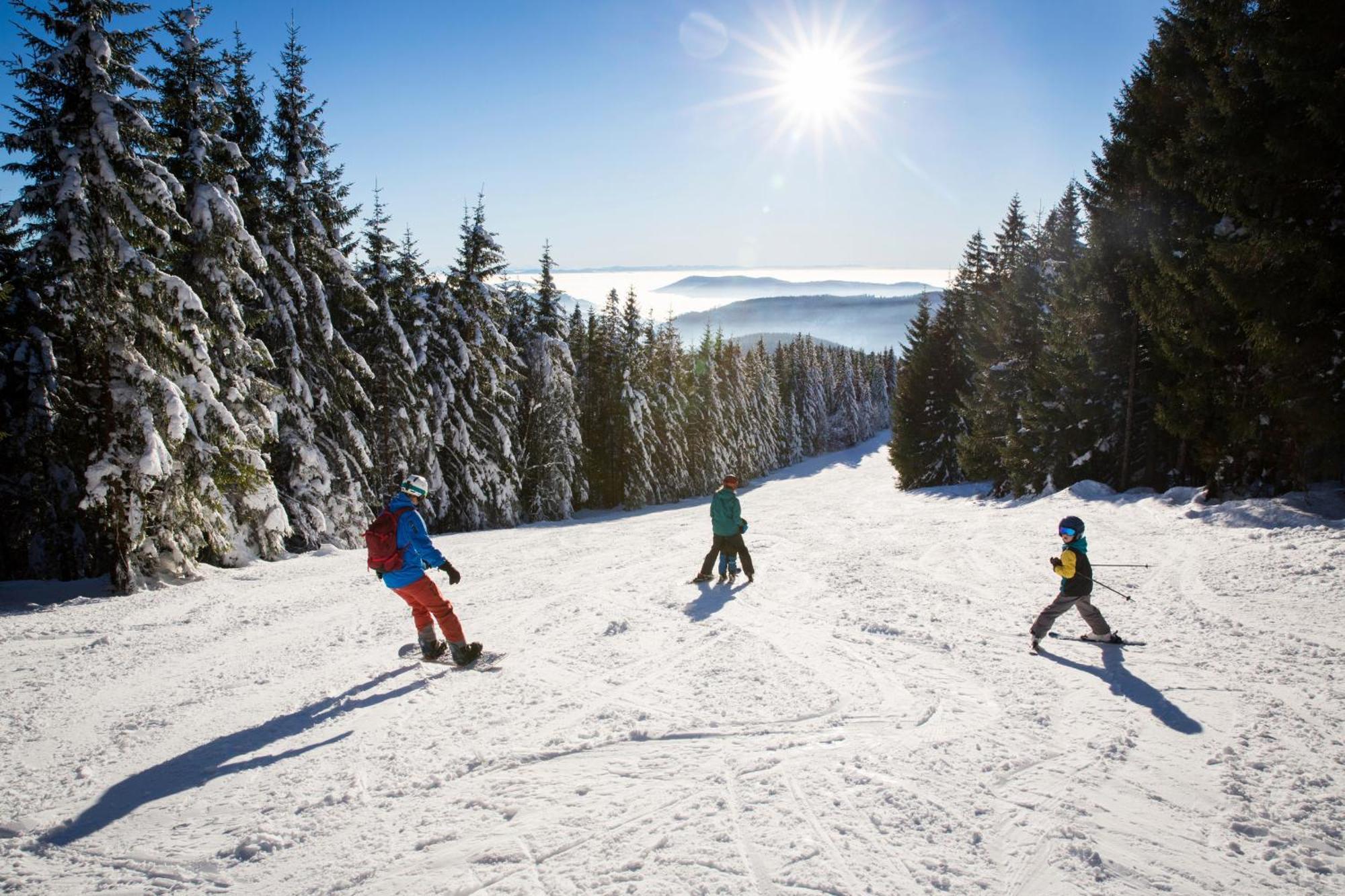 Drei Tannen - Wohnung 12 - Apartmenthaus, Titisee, Nahe Badeparadies Екстер'єр фото