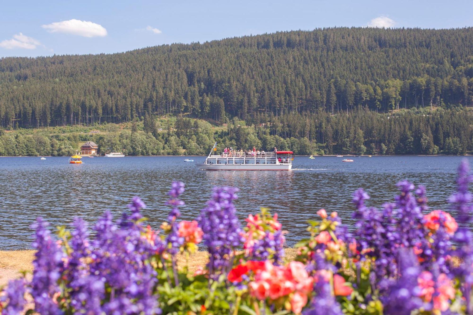 Drei Tannen - Wohnung 12 - Apartmenthaus, Titisee, Nahe Badeparadies Екстер'єр фото