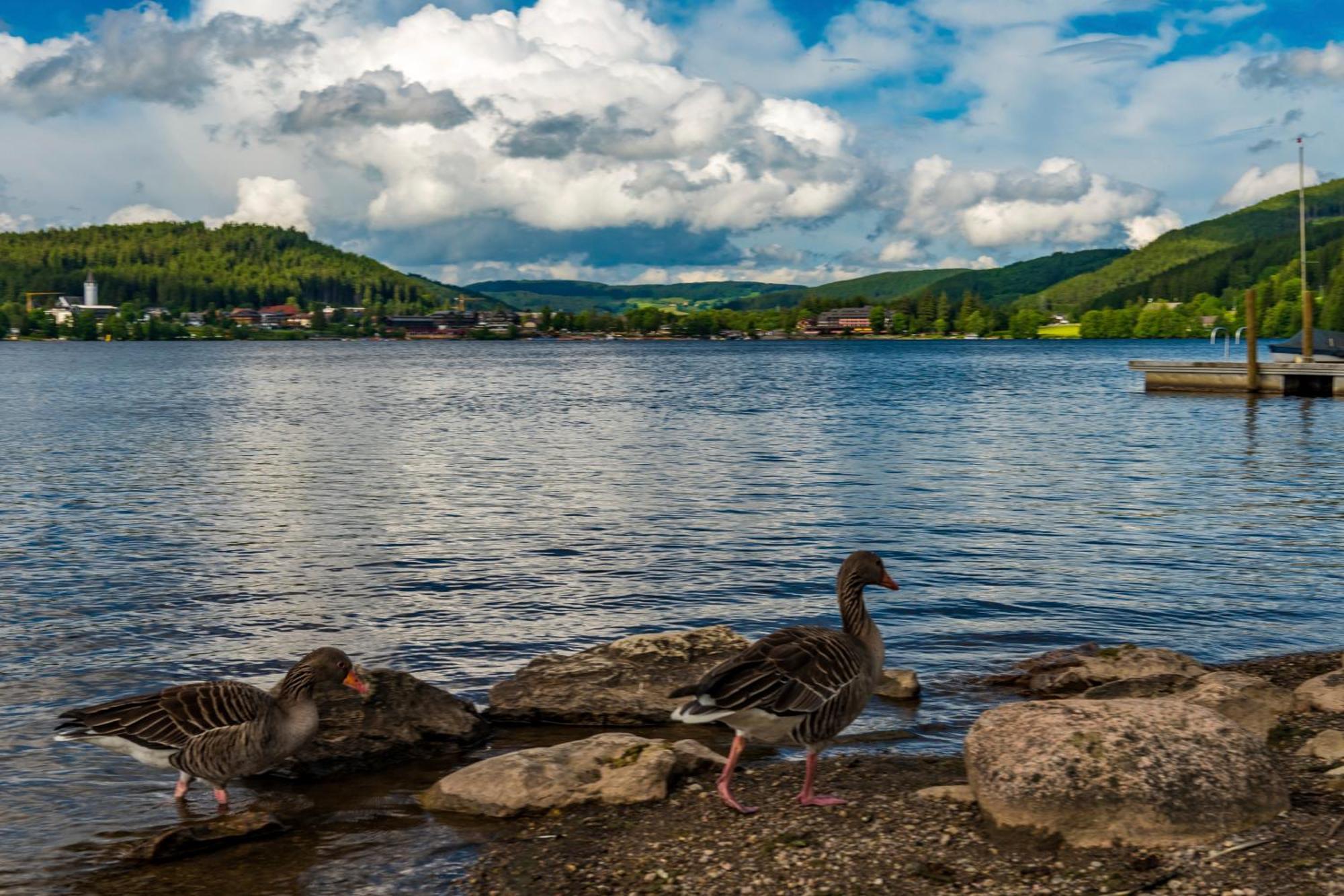Drei Tannen - Wohnung 12 - Apartmenthaus, Titisee, Nahe Badeparadies Екстер'єр фото