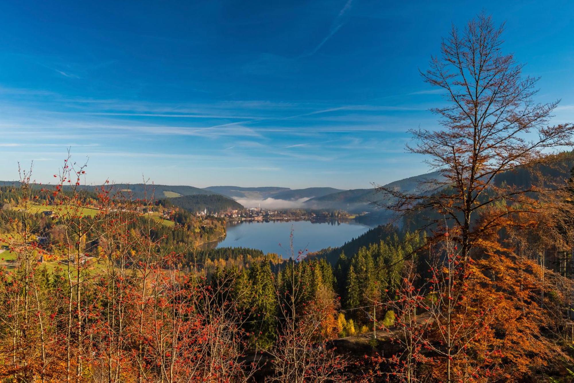 Drei Tannen - Wohnung 12 - Apartmenthaus, Titisee, Nahe Badeparadies Екстер'єр фото