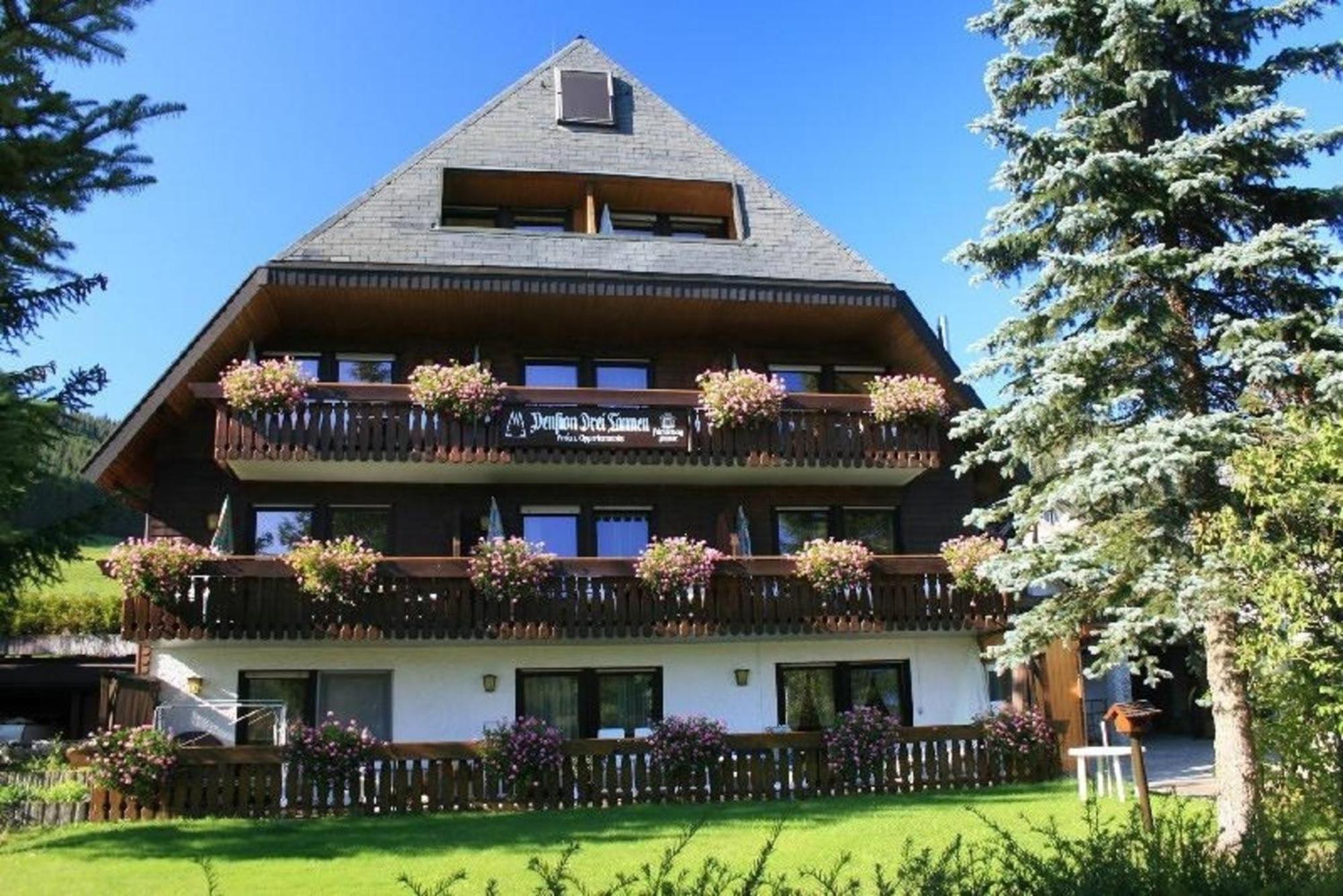 Drei Tannen - Wohnung 12 - Apartmenthaus, Titisee, Nahe Badeparadies Екстер'єр фото